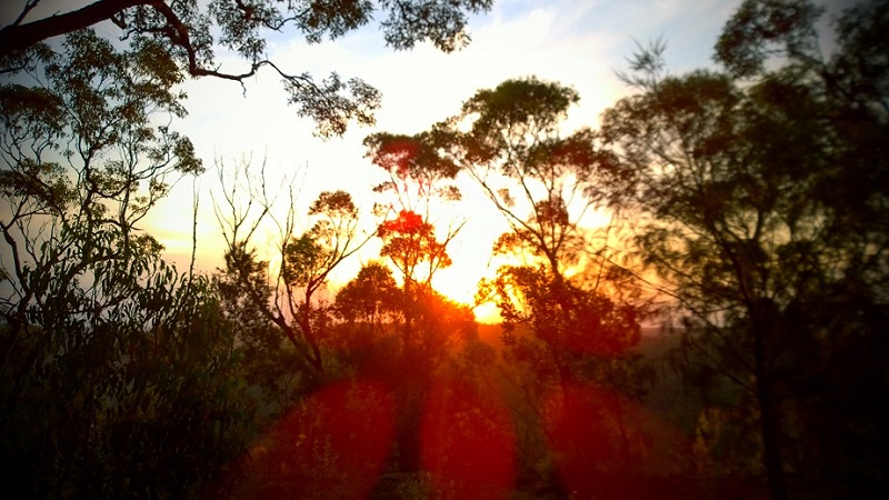 Berowra Waters Lookout Sunset