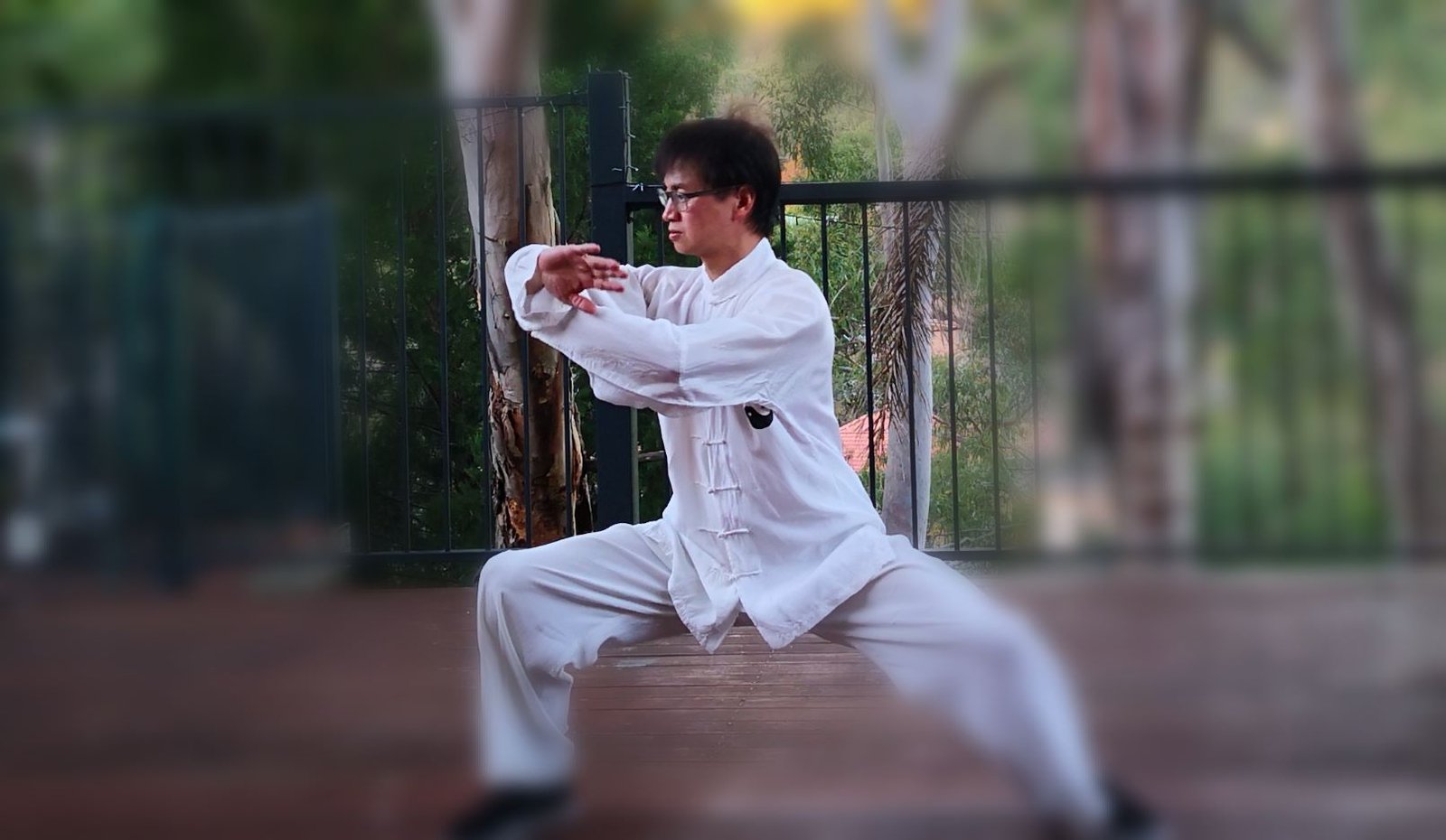 Steven Wang practising Chen Style